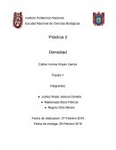 DENSIDAD. FISICOQUIMICA