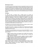 Metodologias de mejora