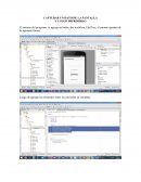 CAPTURAR UN DATO DE LA PANTALLA.