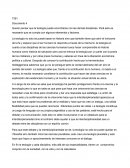 Teologia y hermeneutica