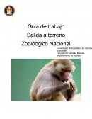 La historia del primer Zoológico Nacional de Chile