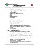 Descripción de la empresa producto o servicio.