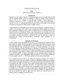 Propuesta de Solución al caso: Fabricación de Pelonetes Hershey’s