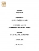 El Derecho Civil es la rama principal del Derecho Privado, “es todo un sistema político coherente construido alrededor de la persona (personalidad y capacidad) del patrimonio (bienes, contratos, sucesiones) y de la familia (matrimonio, filiación, patr