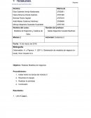 Modelos de Negocios y Cadena de Valor.