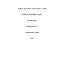 Reflejos representes en niños de 0-2 años