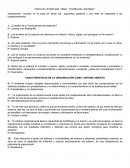 Sopa de letras del tema "Teoría del sistema"