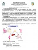 Fisiopatologia encefalopatia hepatica