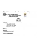 Observación Cualitativa - Mitosis