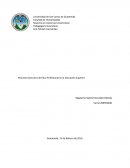 Las investigaciones realizadas en universidades mexicanas cuyo interés de conocer la cultura profesional de los sujetos universitarios condujo a la puesta en marcha del Proyecto Universitario sobre Ética Profesional, coordinado por Ana Hirsch Adler, inv