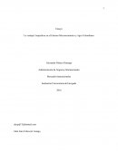 La ventaja Competitiva en el Entorno Microeconómico y Agro Colombiano