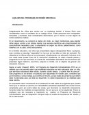 ANALISIS DEL PROGRAMA DE DISEÑO INDIVIDUAL