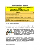 Análisis de ambiente de control