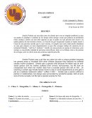 ENSAYO CRÍTICO “AMELIE”