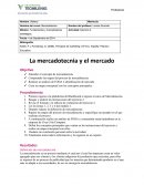 Creacion un mapa conceptual con los conceptos principales