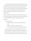 Cultura Organizacional Pixar