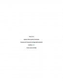 Describa los distintivos que indiquen explosivos, gases, líquidos inflamables y sólidos inflamables, indicando las medidas preventivas y señaléticas de seguridad adecuadas para cada caso.