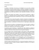 El Experimento - Ensayo de película.