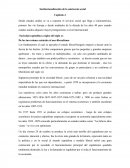 Institucionalización de la asistencia social Capitulo 4