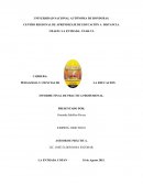 Informe de practica de pedagogia