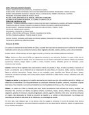 CURACAUTÍN: JOYERIA ARTESANAL EN PLATA CON SIMBOLOS RELIGIOSOS TRARILONCO Y TRAPELACUCHA.