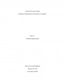 Programa de administración de empresas y tecnología