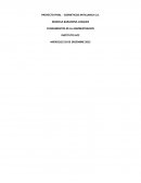 PROYECTO FINAL - COSMETICOS ANTILLANCA S.A.