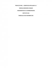 PROYECTO FINAL - COSMETICOS ANTILLANCA S.A.. Página 1