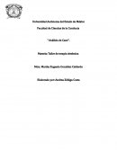Análisis de Caso Familia Curiel Castillo