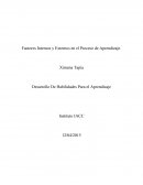 Factores Internos y Externos en el Proceso de Aprendizaje