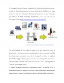Una de las fortalezas de este modelo de negocio es, la gran reducción de costos de intermediación y eliminación