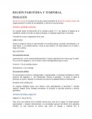 REGIÓN PAROTÍDEA Y TEMPORAL