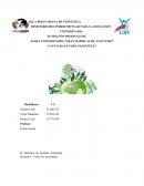 INFORME DE LA ECONOMIA Y LA BIOSFERA