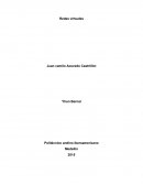 QUE ES Y PARA QUE SIRVE UNA RED VIRTUAL?