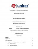 Objetivos de la Práctica Profesional en la Empresa