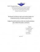 Trabajo de especial de grado presentado como requisito parcial para optar al título de licenciadas en enfermería