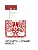Ensayo de A la Sombra de la Revolución Mexicana