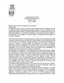 Ensayo sobre el libro “De cadenas y de hombres”