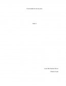 El plan de negocio es una de las herramientas más importante que tiene el emprendedor.