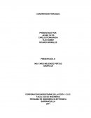 PROGAMA DE INGENIERIA ELECTRONICA