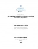 Caso Zara.