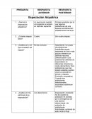 ¿Qué es la especiación alopátrica? ¿Cuántas etapas tiene?
