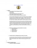 Aves como mascotas especialidad conquistadores