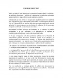 Plan de organización en Auditoria (Informe ejecutivo)