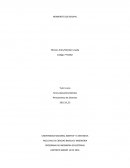 ORGANIGRAMA CALZADO KONDOR