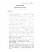 Cuestionario de las visitas realizadas