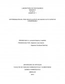DETERMINACIÓN DEL PESO MOLECULAR DE UN LIQUIDO CUYO VAPOR ES CONDENSABLE