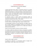 CARACTERISTICAS DE UN ESTADO ORGANICO