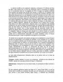 La planta moralillo es de captación nadamas y almacena 2.4 millones de litros de agua