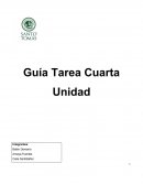 Identifica y clasifica mediante el uso de un organizador gráfico, los factores de riesgo y protección del desarrollo asociados al caso seleccionado. Utiliza para ello la taxonomía propuesta por Carlos Almonte. (1 página) [pic 2]